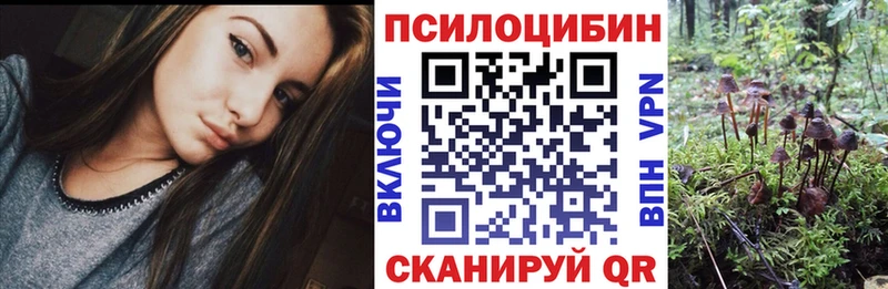 Псилоцибиновые грибы GOLDEN TEACHER Суворов